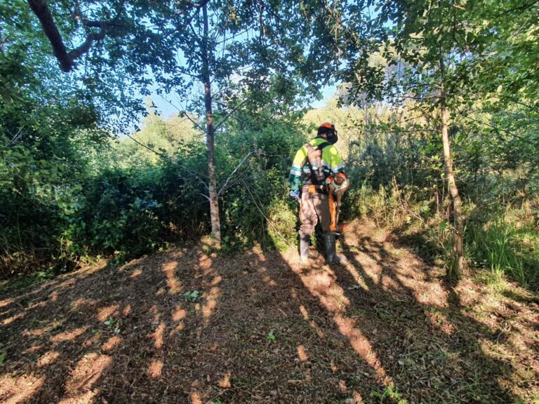 Rural.- La Fegamp rechaza la propuesta de convenio de la Xunta para limpieza de franjas y pide negociar mejoras
