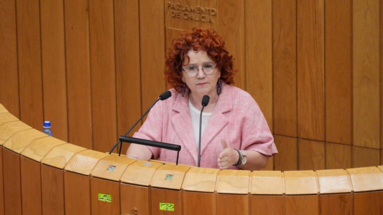 El BNG alerta de la «situación límite» de los centros de salud y «todavía no llegó» el pico de gripe