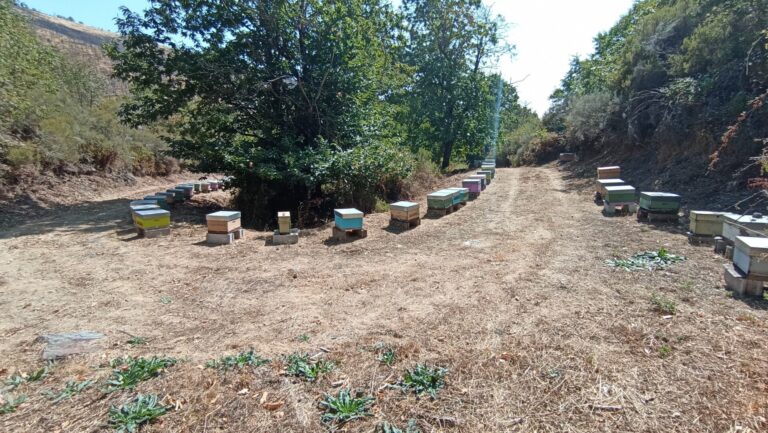 Portugal pide explicaciones a España sobre la actividad minera en A Gudiña que puede afectar al territorio luso