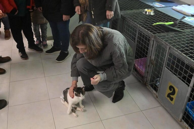 Xunta aboga por la «adopción responsable» de animales abandonados y subraya que «no son juguetes ni regalos a la ligera»