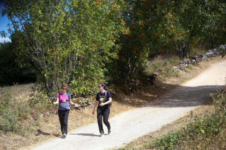 Turismo.- Un estudio de la USC demuestra el impacto de la tecnología en la experiencia de la peregrinación