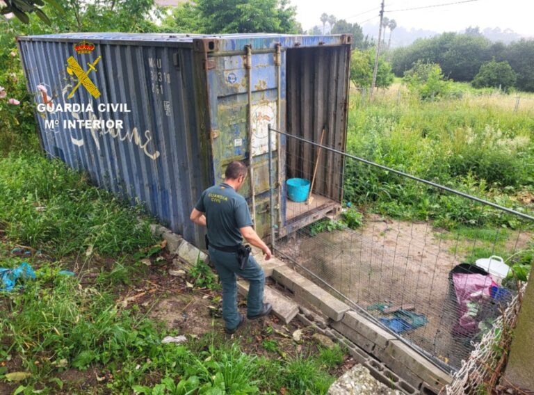 Sucesos.- Investigan a dos personas en Pontevedra por maltrato animal tras la muerte de un perro