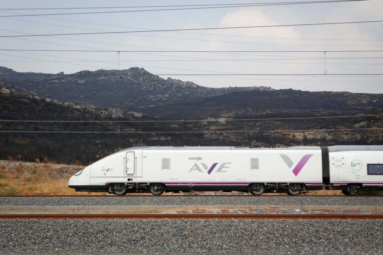 La Diputación de Ourense alerta del «grave» impacto territorial y económico de eliminar paradas de AVE en A Gudiña