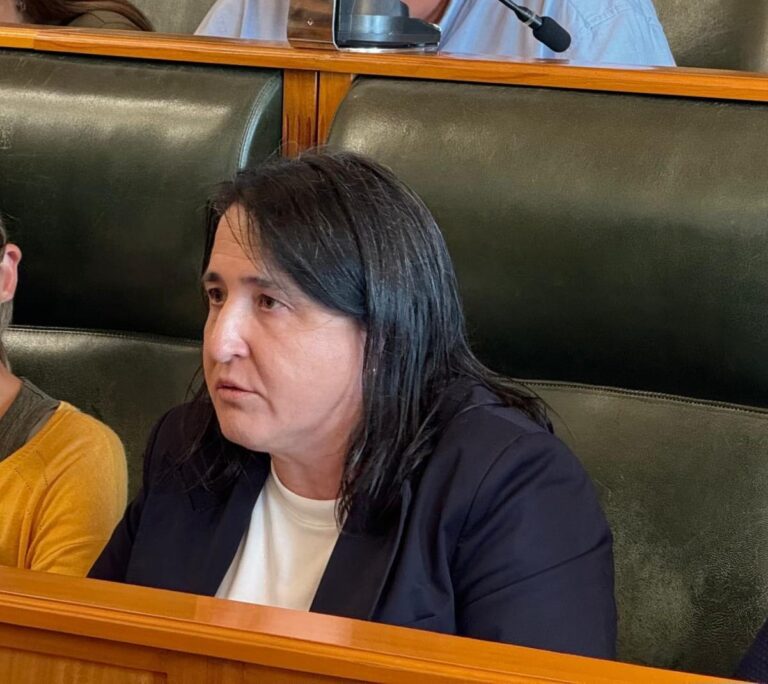 El PP de Santiago propone elaborar un registro municipal de familias acogedoras