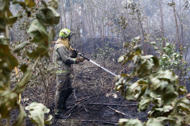 Rural.- El Gobierno aprueba un marco común de actuación contra incendios para reforzar la coordinación de dispositivos
