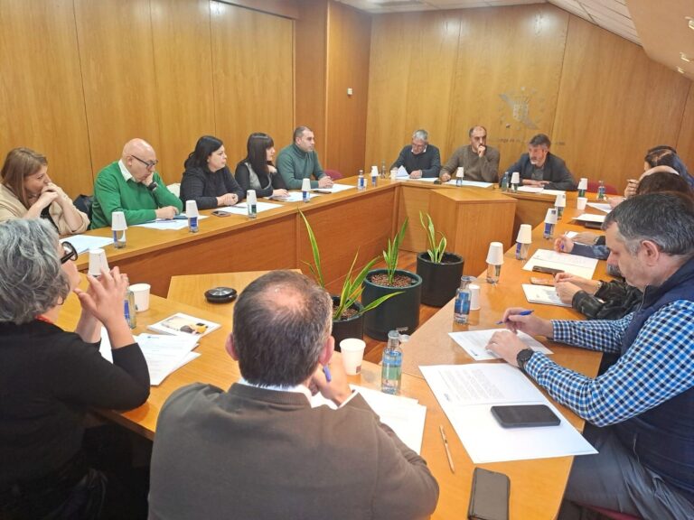 Xunta y Fegamp pactan una subida gradual de la aportación autonómica al SAF que llegará a 18 euros por hora en 2028