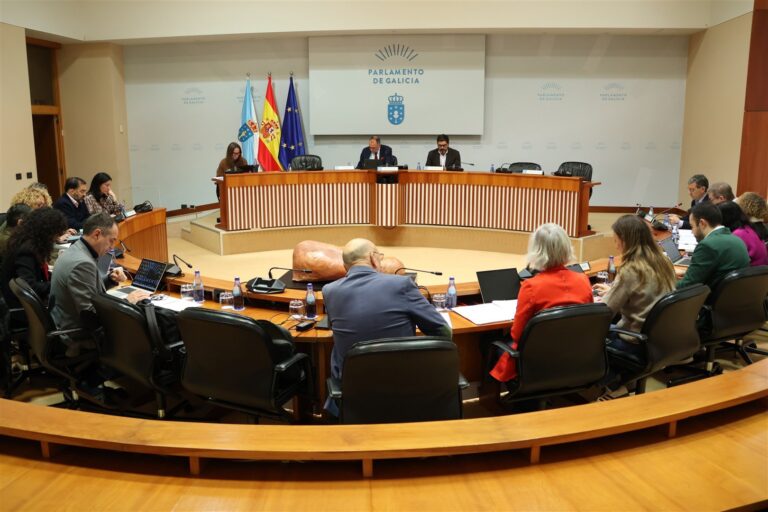 Unanimidad en la Cámara para rechazar la comarcalización de los juzgados de violencia machista de Ourense y Santiago