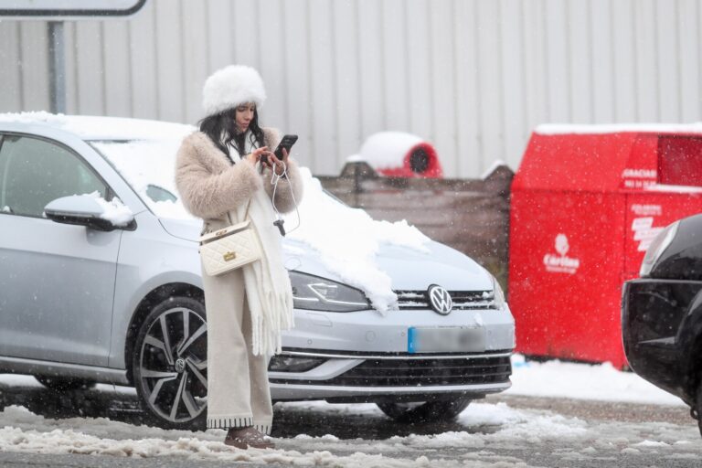 Interrumpido el servicio ferroviario entre Baamonde y Rábade, en Lugo, por la caída de un árbol