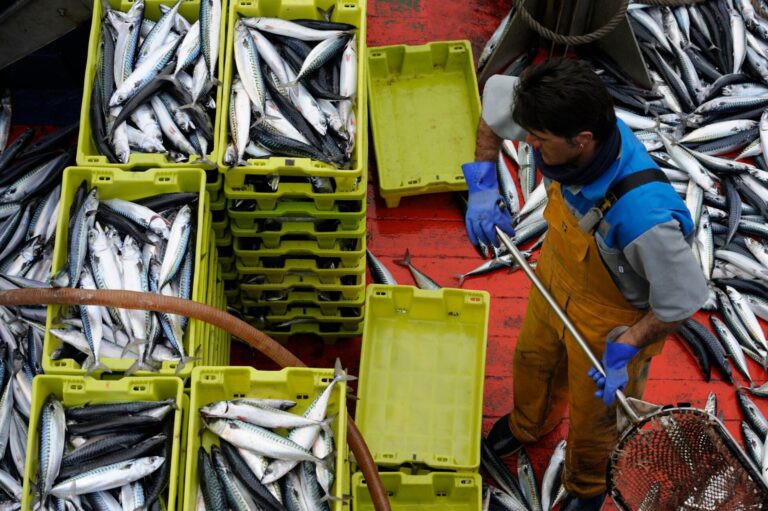 Pesca.- Bruselas comparte la preocupación de España e Irlanda por la cuota de caballa de Reino Unido y Noruega