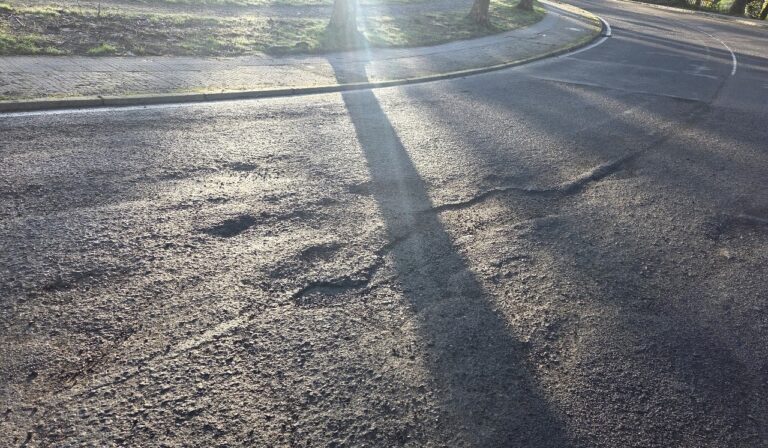 El PP de Santiago exige una «actuación inmediata» en la calle Burgo das Nacións ante el «lamentable estado» del asfalto