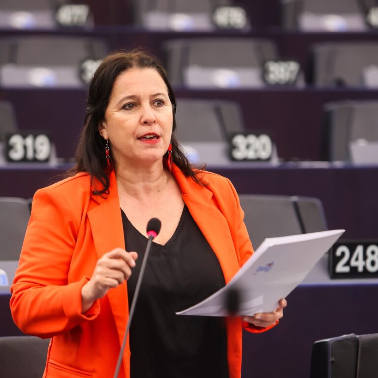 BNG denuncia en Bruselas que el PP vota «en contra de los intereses del sector agroganadero» ante el pacto UE-Mercosur