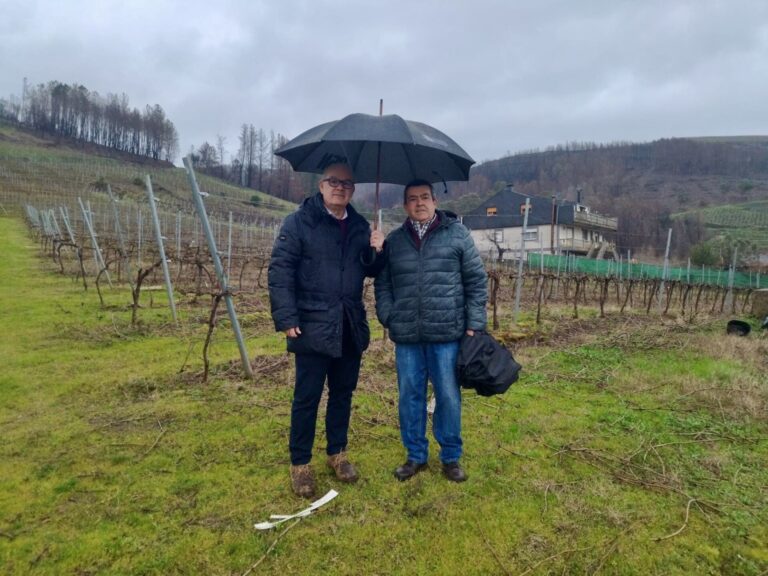 El subdelegado del Gobierno en Ourense apela a «estar con  agricultores y ganaderos» por un «rural con futuro»