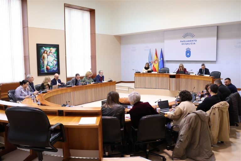 Todo el Parlamento insta a la Xunta a un control de los cortes de suministro de las eléctricas y pide inversiones