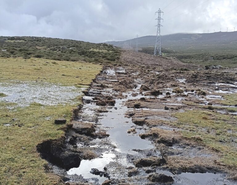 Adega alerta de la «degradación constante» de humedales en Galicia en el Día Mundial declarado por la ONU