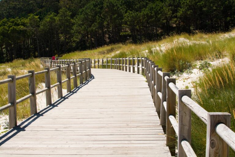 Turismo.- Las pernoctaciones extrahoteleras crecen un 7,2% en 2025 en Galicia, impulsadas por apartamentos y campings