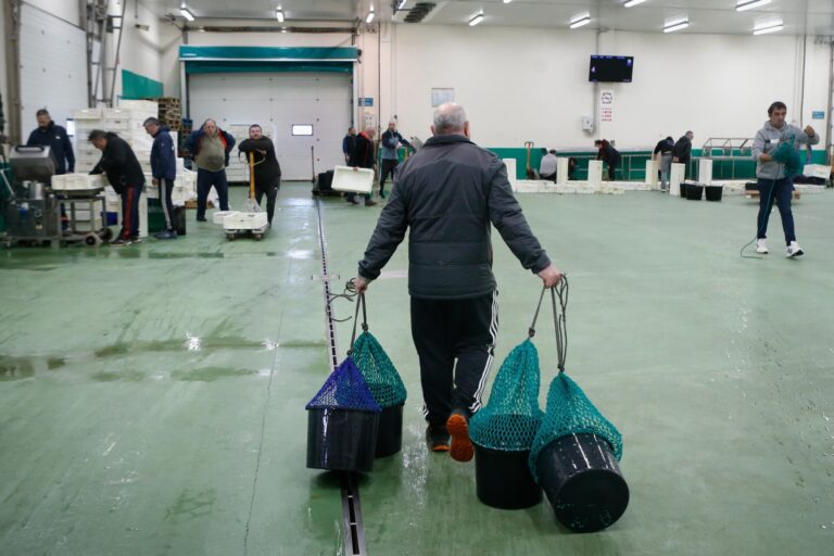 Caída de ventas de la pesca gallega en un complicado comienzo de año con temporales y mortandad del marisco