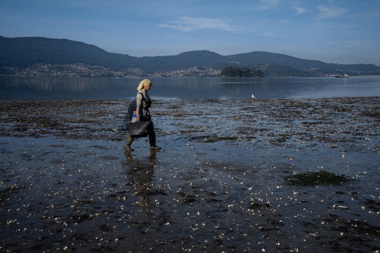 Pesca.- Advierten de pérdidas de 59 millones de euros en el marisquero de la ría de Arousa en los últimos cinco años