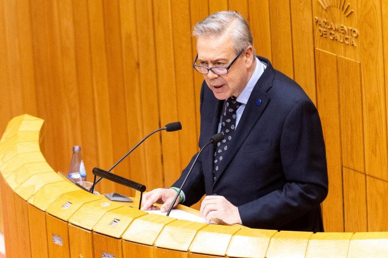 Pleno.- Gómez Caamaño anuncia un plan de reforma de Atención Primaria para antes de verano