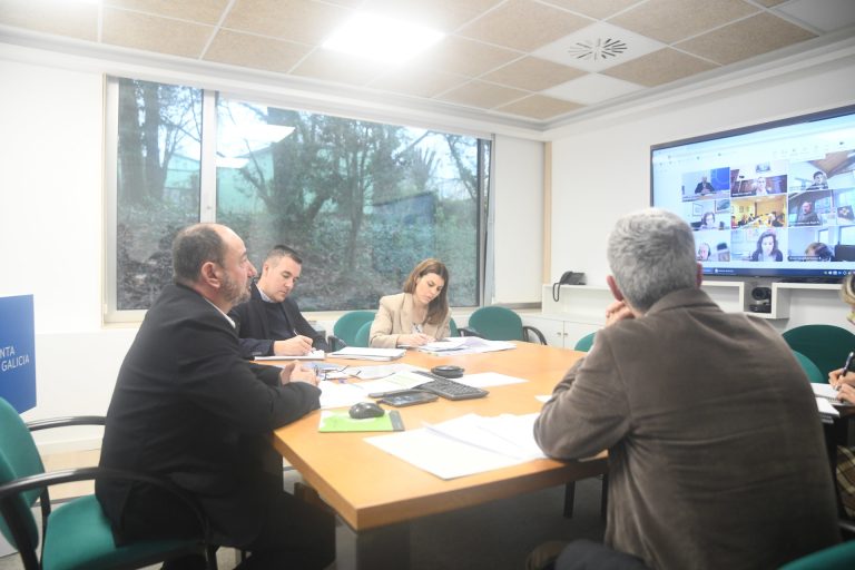 Turismo.- La Xunta urge al Consejo Jacobeo a agilizar los beneficios fiscales del Xacobeo 2027