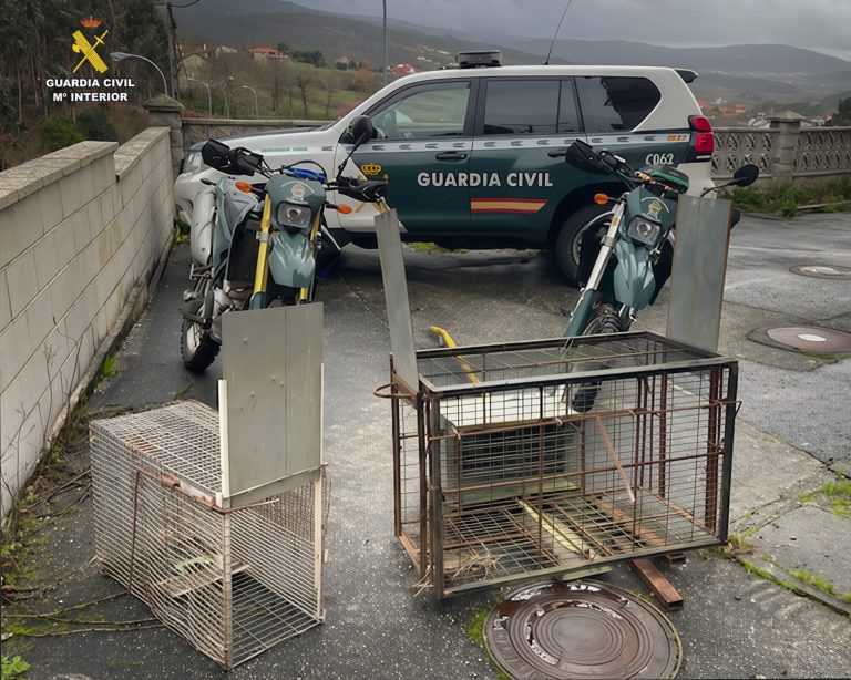 Rural.- Intervenidas dos jaulas-trampa prohibidas en una plantación de coles en Rois (A Coruña)