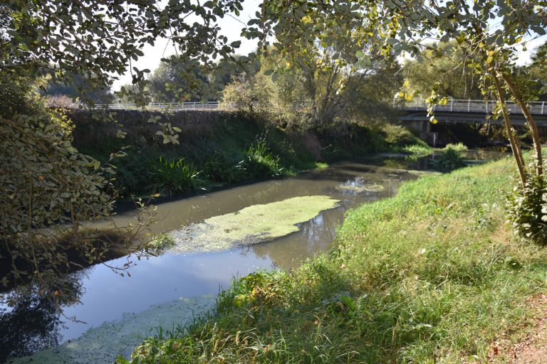 Augas de Galicia sanciona al Ayuntamiento de Santiago con 300.000 euros tras mediciones en el río Sar