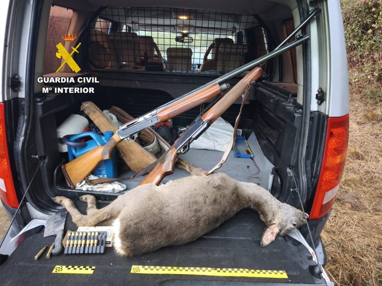 Sucesos.- Investigan a tres personas tras hallar un corzo muerto en un vehículo en Lobios (Ourense)