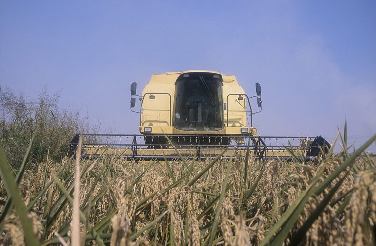 Rural.- El Gobierno afirma que la PAC debe garantizar una renta «justa y suficiente» a los agricultores