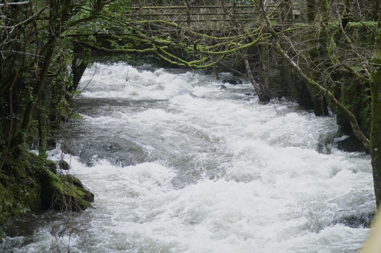 Temporal.- Nivel rojo del río Miño en A Peroxa y del Avia-Miño en Ribadavia, en Ourense