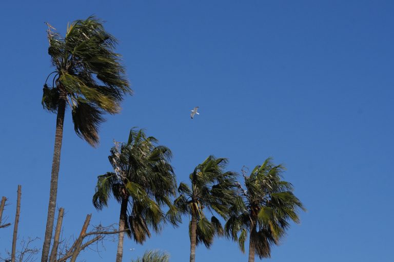 Las temperaturas subirán este lunes aunque se prevén rachas de viento muy fuertes en zonas como Galicia