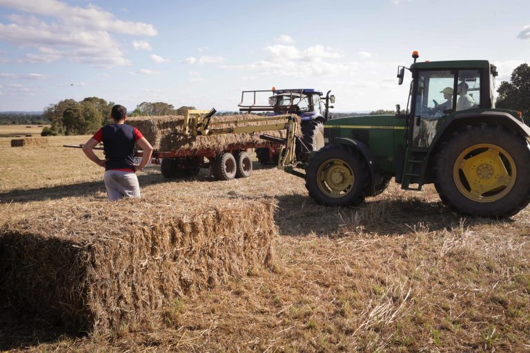 Rural.- Medio Rural abre este sábado el plazo de solicitud de ayudas de la PAC que beneficiarán a 23.000 productores
