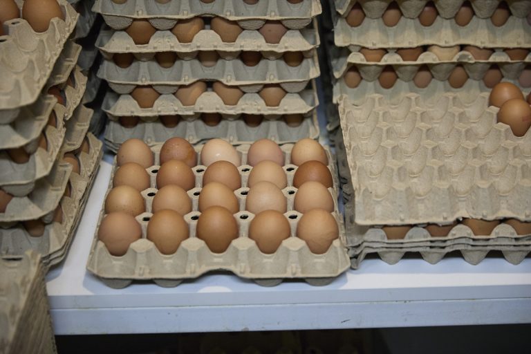 Rural.- La Xunta publica el plazo de solicitudes para que centros de embalaje puedan encargarse del marcado de huevos