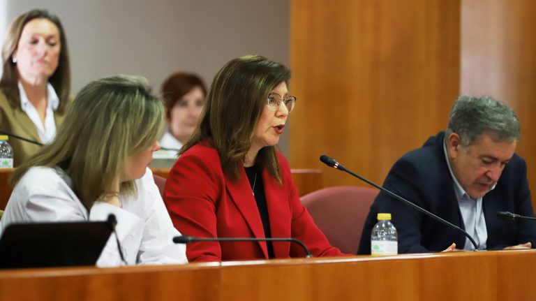 Turismo.- El Pleno de Vigo da luz verde a la ordenanza reguladora de las VUT con el voto contrario de PP y BNG