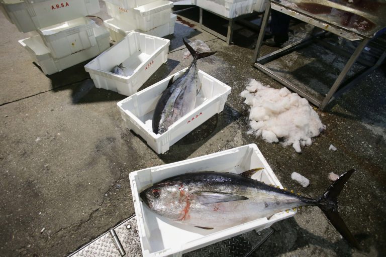 Padre e hijo aceptan tres años de cárcel y 8.000 euros de multa por la venta de drogas en la lonja de Burela