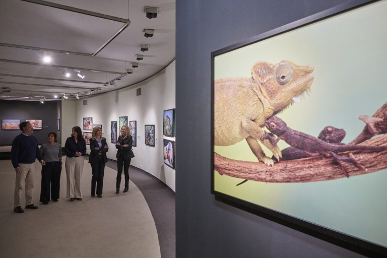 Afundación inaugura en Vigo una muestra con 45 escenas de nacimientos y crianza de animales