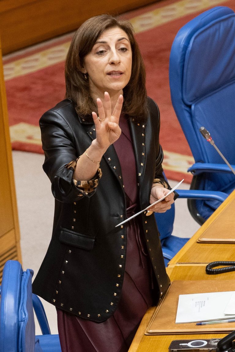 Pleno.- Xunta acusa al Gobierno de usar la «disculpa» de Europa para limitar la duración de las concesiones en la costa