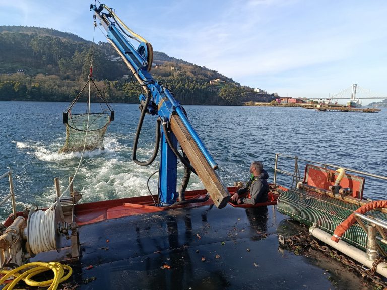 Pesca.-Investigadores estudiarán el nivel de plomo en la volandeira para recuperar su comercialización en la Ría de Vigo