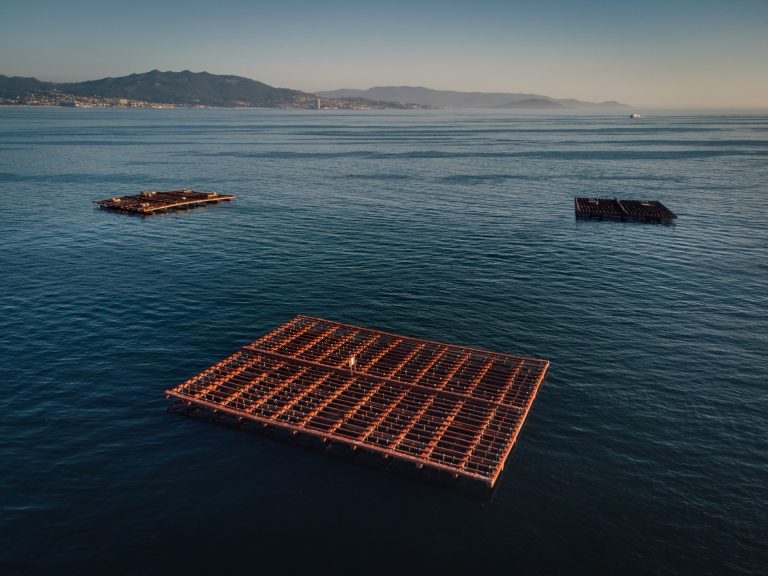 Un estudio cifra por primera vez las emisiones de producir mejillón, de los menores impactos de proteína del mar