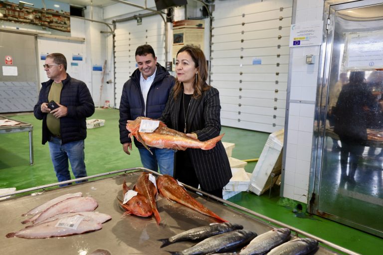 Pesca.- Mar destaca las mejoras realizadas en la lonja de Laxe para «reforzar la competitividad» de la pesca artesanal