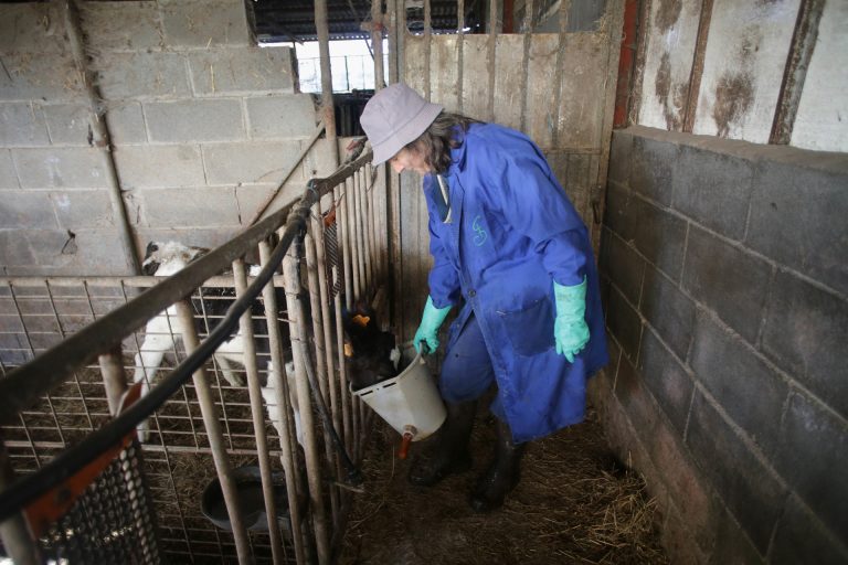 Rural.- Nueve de cada 10 mujeres en explotaciones gallegas realizan trabajo familiar, frente a siete de cada 10 hombres