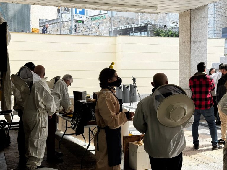 Rural.- Apicultores protestan en Ourense y Lugo contra miel «pirata» y Mercosur: «Pasamos etapas muy difíciles»