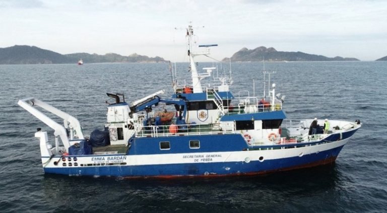 Pesca.- El Ministerio abre la campaña de la anchoa en el Golfo de Vizcaya y Cantábrico con 1.875 toneladas más