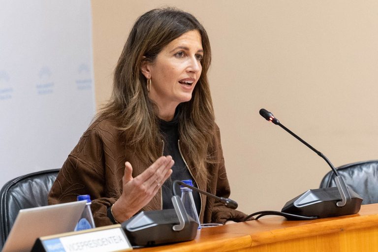 La futura ley de administración local prevé que los municipios de más de 30.000 habitantes podrán tener «vicealcaldías»