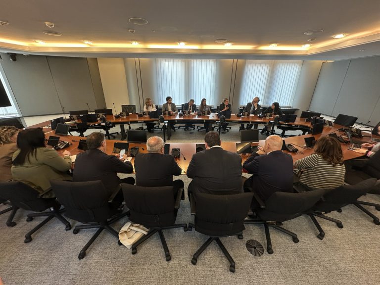 Menor reivindica en Bruselas la eficiencia de las entidades locales en la gestión de fondos comunitarios