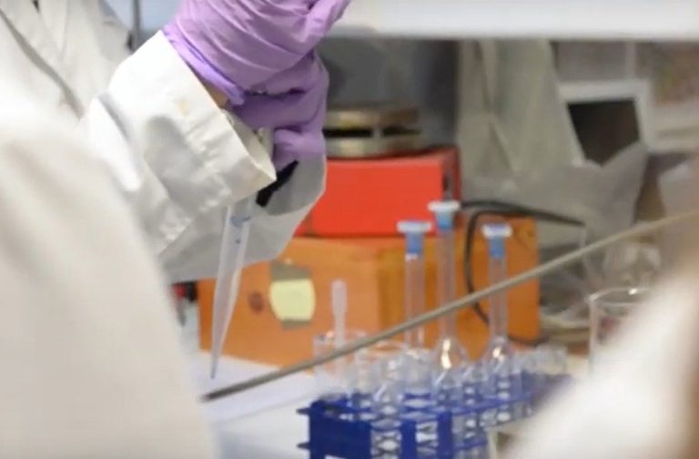 UDC y Oracle organizan una jornada entre menores de 4 a 16 años para fomentar vocaciones STEM en mujeres