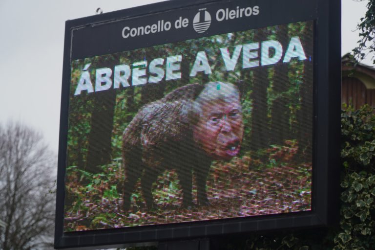 Oleiros (A Coruña) promueve una campaña con la cabeza de Trump en un cuerpo de jabalí: «Se abre la veda»