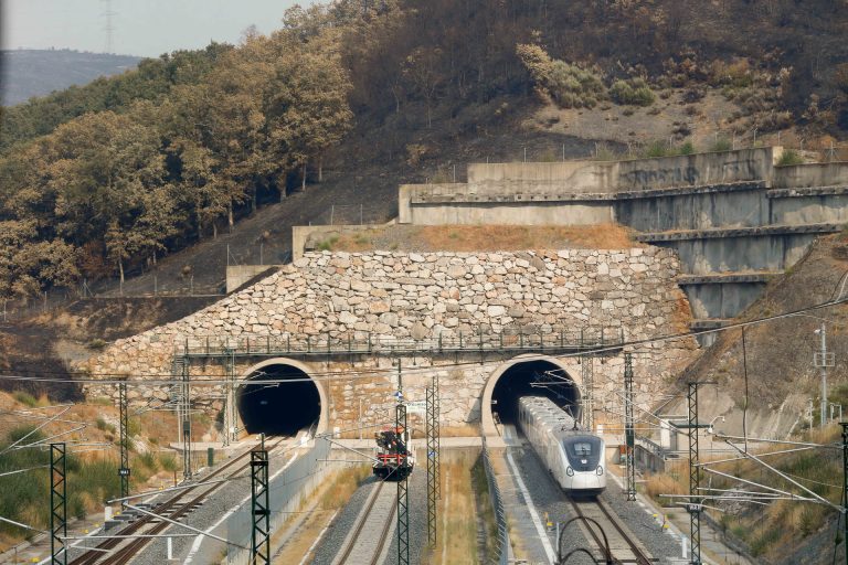 La caída de un árbol afecta a trenes que circulan entre Ourense y Madrid, que ya recuperan «gradualmente» la normalidad