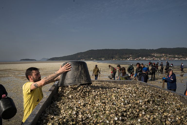 Pesca.- ‘Mayday’ del marisqueo: Una situación «bastante mala» y un posible parón si la mortandad es «moderada o severa»