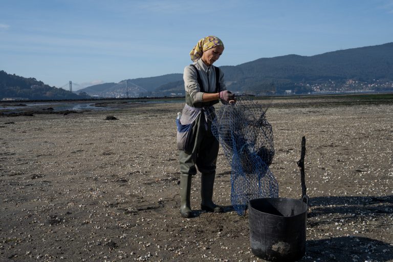 Pesca.- Mar publica la orden que regulará la gestión de los excedentes del marisco