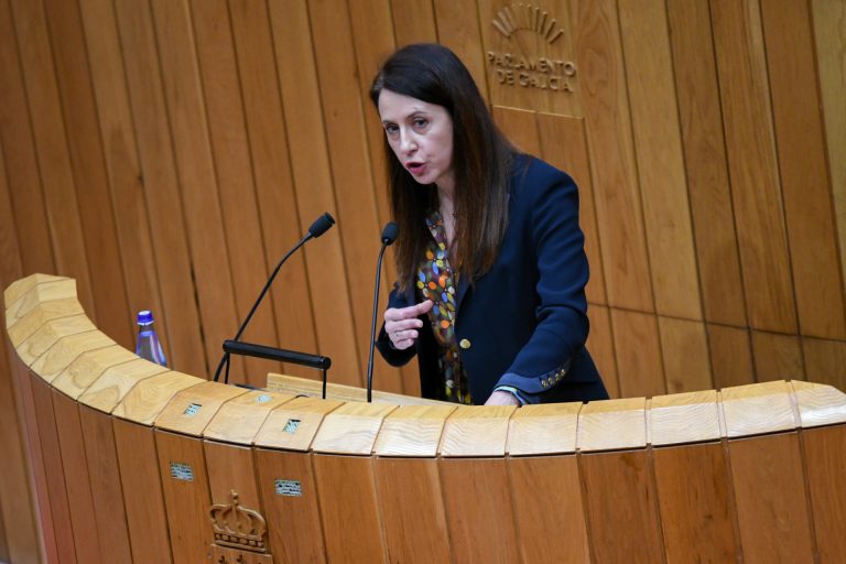 Pleno.- Xunta justifica retrasos en ayudas agrarias por su carga administrativa «elevada», donde BNG ve «negligencia»