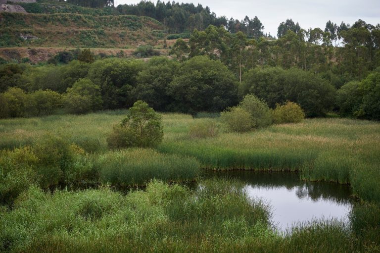 La asociación de minería metálica Aminer alcanza las 90 entidades asociadas con la incorporación de Cobre San Rafael